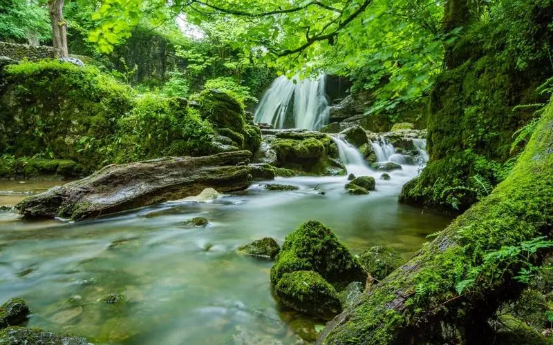 智能系统节能高标准